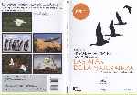 carátula dvd de Las Alas De La Naturaleza - Dvd 02