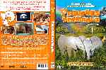 carátula dvd de Pequenos Hermanos - Region 4