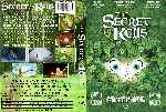 carátula dvd de The Secret Of Kells - Custom