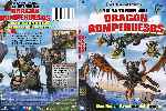carátula dvd de La Leyenda Del Dragon Rompehuesos - Custom