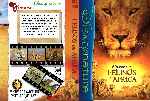 carátula dvd de Felinos De Africa - Custom