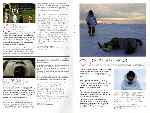 carátula dvd de Cortometrajes Internacionales - Cinema 16 - Inlay 03