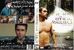 carátula dvd de After The Waterfall - Custom
