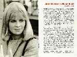 carátula dvd de Darling - 1965 - Inlay 04