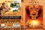 carátula dvd de Felinos De Africa - Custom - V2