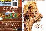 carátula dvd de Felinos De Africa - Custom - V3