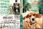 carátula dvd de Mi Amigo Shiloh - Custom