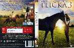 carátula dvd de Flicka 3