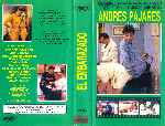 carátula vhs de El Embarazado