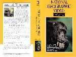 cartula vhs de National Geographic - Serie Oro - 01 - Los Nuevos Chimpances